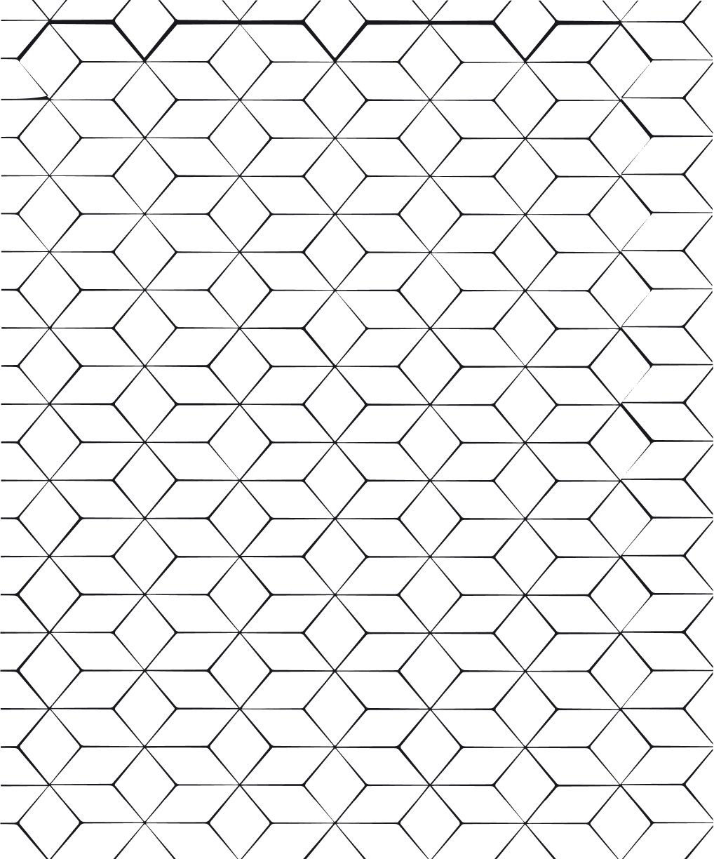 shape